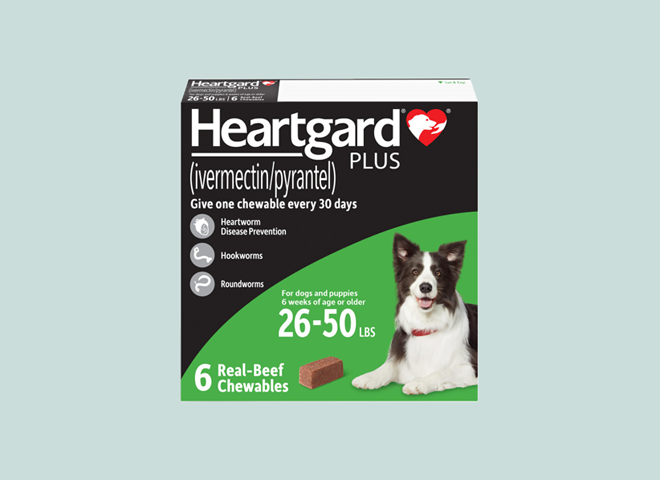 Get 60% off every new Autoship order on Heartguard