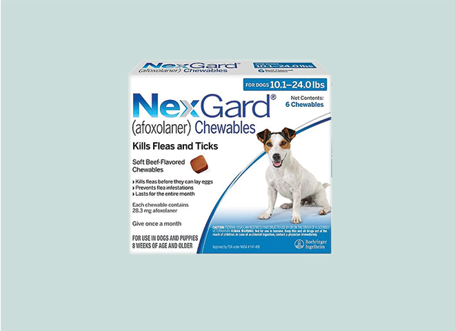 Save 75 dollars on Nexgard with Autoship. Shop now.