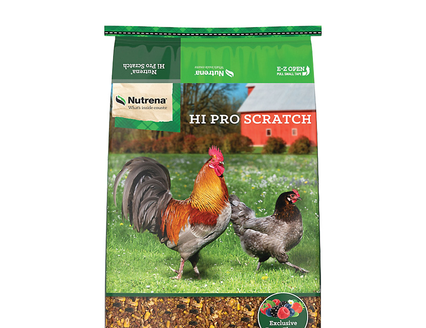 Save 2 dollars on Nutrena poultry feed. Shop now.