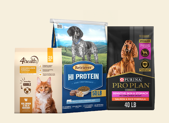 Promotional tile with text free same day delivery on pet food order 49 dollars or more.