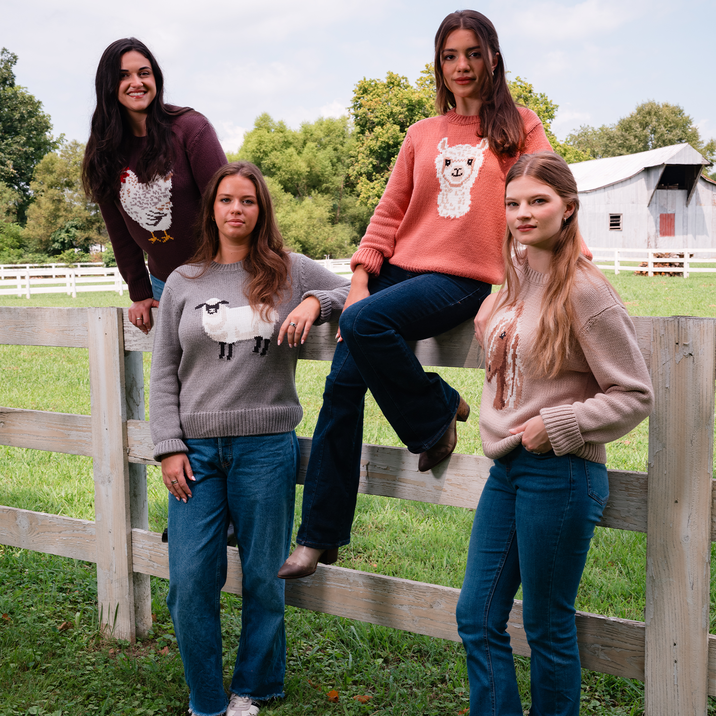 Four women wearing casual fall outfits are shown by a fence. See items.