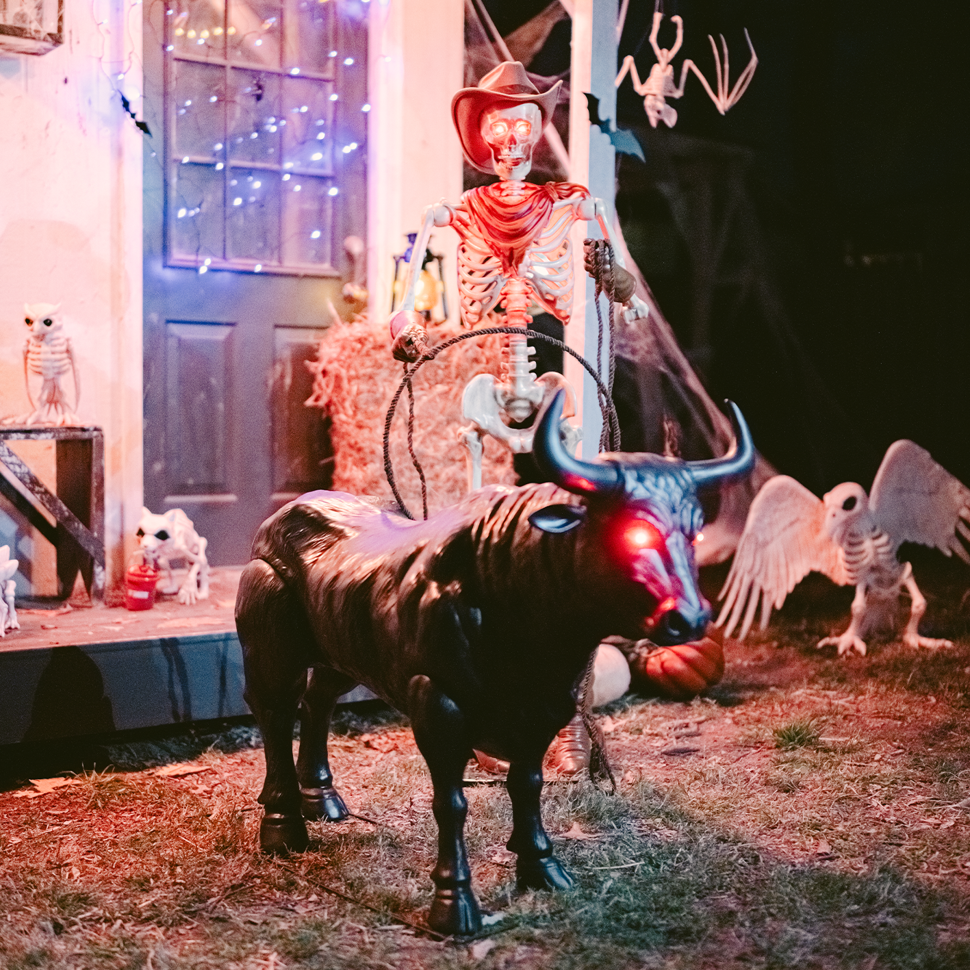 New from Red Shed. Shop the fall harvest and Halloween collection for the season ahead. 