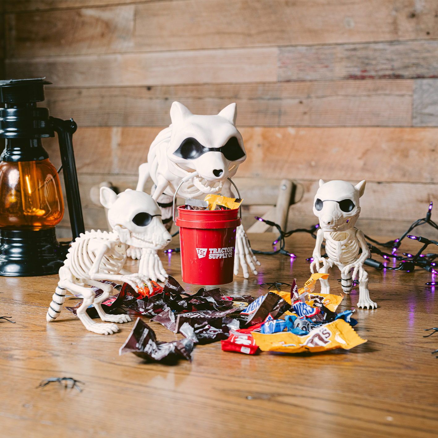 New from Red Shed. Shop the fall harvest and Halloween collection for the season ahead. 