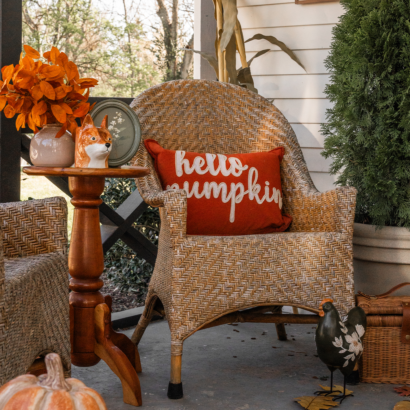 New from Red Shed. Shop the fall harvest and Halloween collection for the season ahead. 