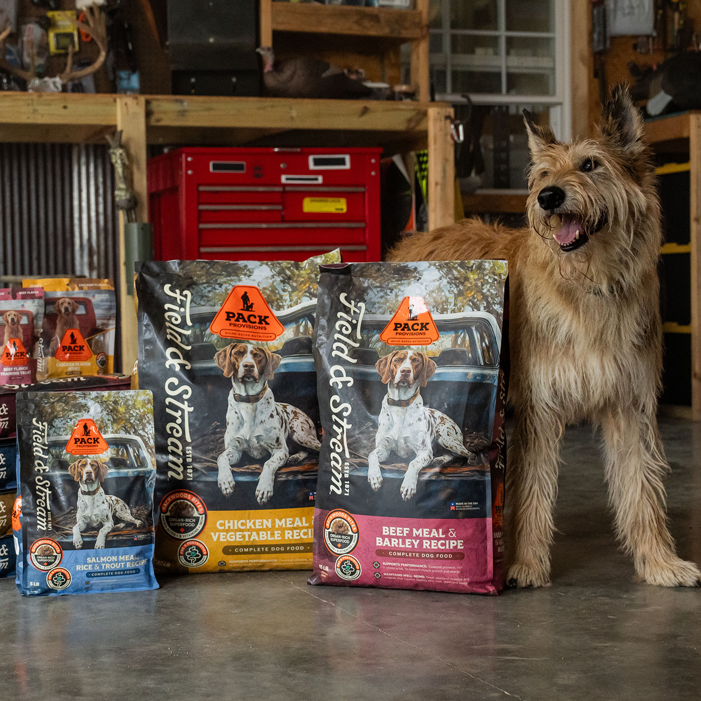 A shaggy dog next to three bags of Field and Stream dog food. See and shop items.