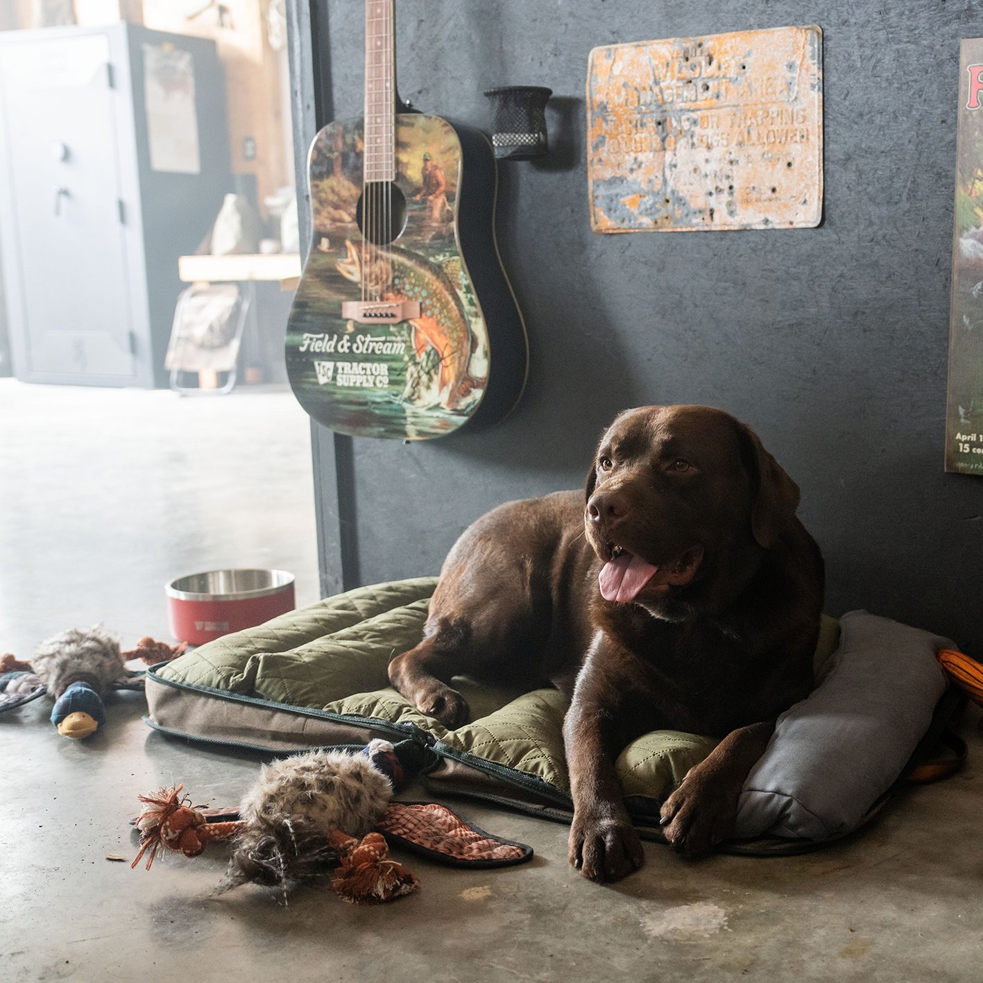 A large dog lounging on a folding travel pet mat next to two squeaky game bird plush dog toys.