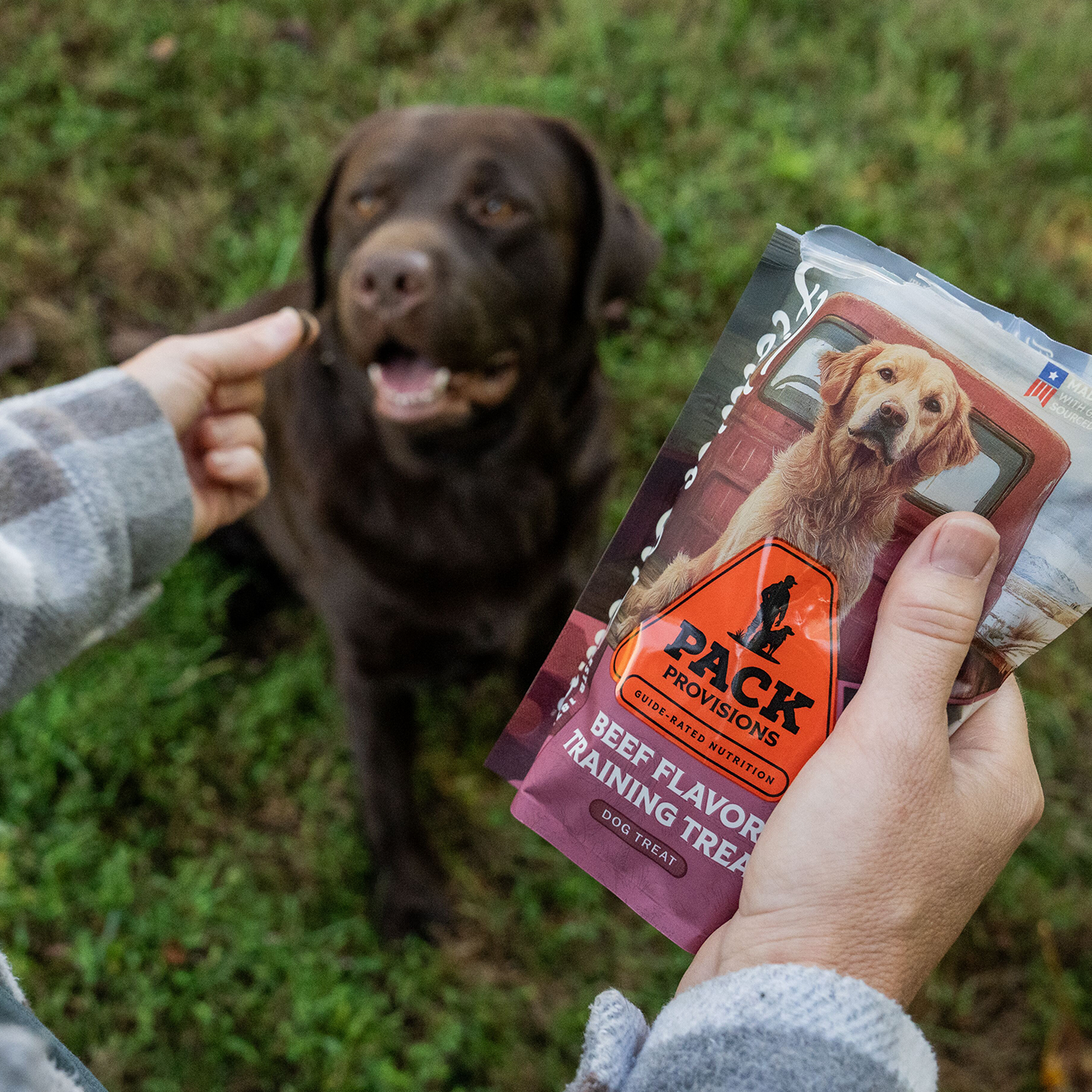 A close up of a hand holding a package of Field and Stream dog treats while another hand feeds a large dog a treat.