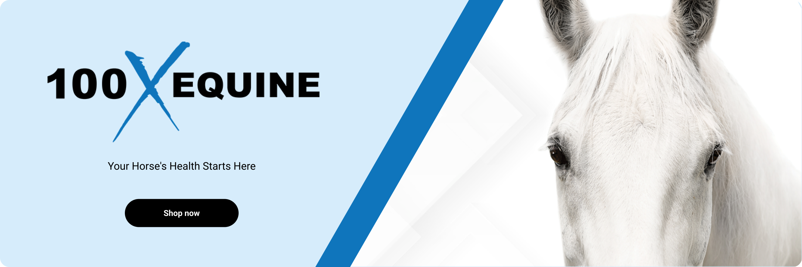 100X Equine banner with the text, “Your Horse’s Health Starts Here,” featuring a white horse. Shop now.