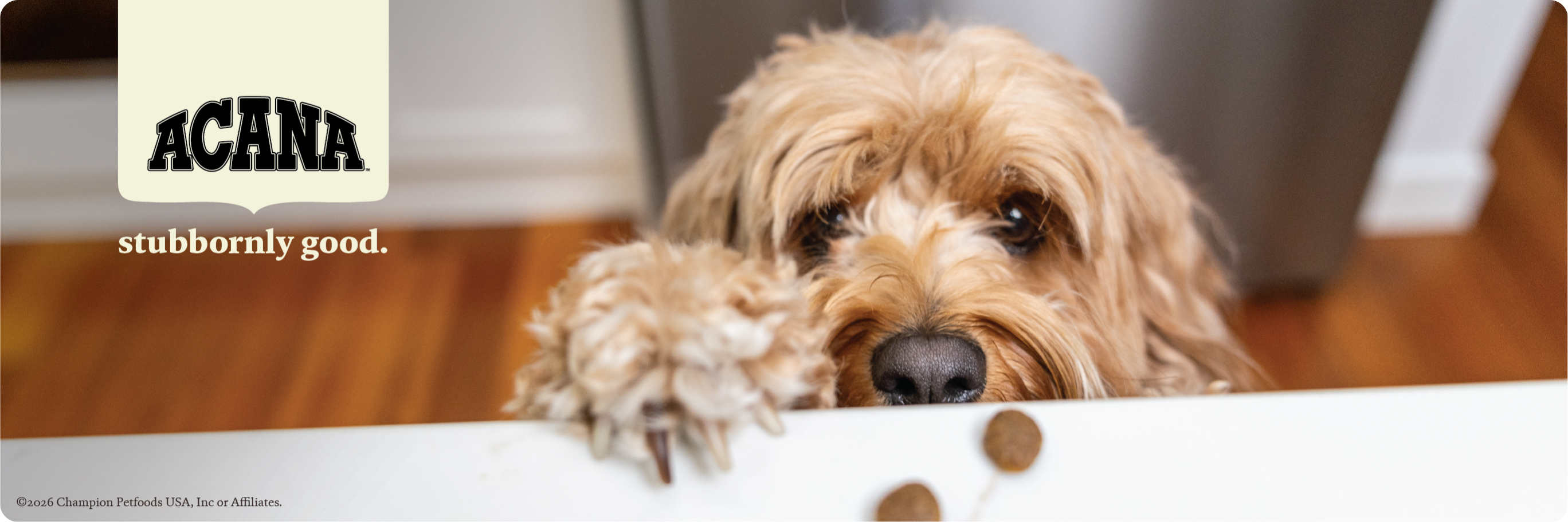 Banner with text, No is a word we use a lot at ACANA. No to fillers, artificial colors and flavors with image of a small dog reaching for kibble. 