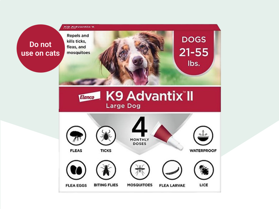 Dog Pest Solutions