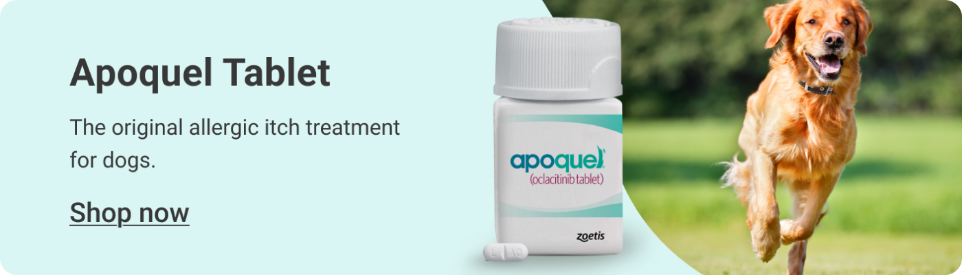 Apoquel Tablet banner reading, The original allergic itch treatment for dogs, with a Shop now link.