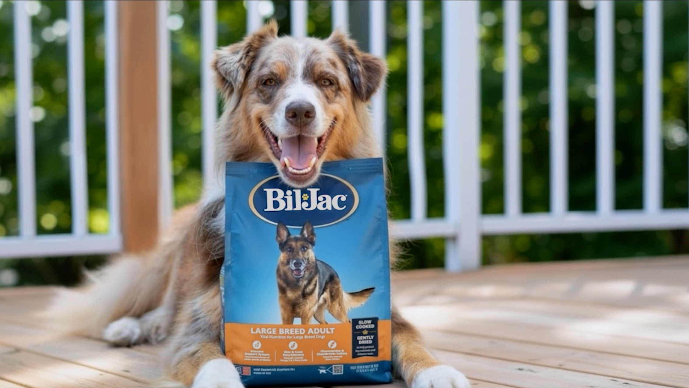 A short Bil-Jac promotional brand video