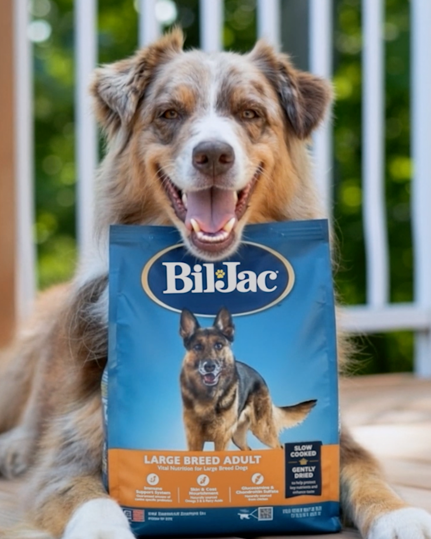 A short Bil-Jac promotional brand video