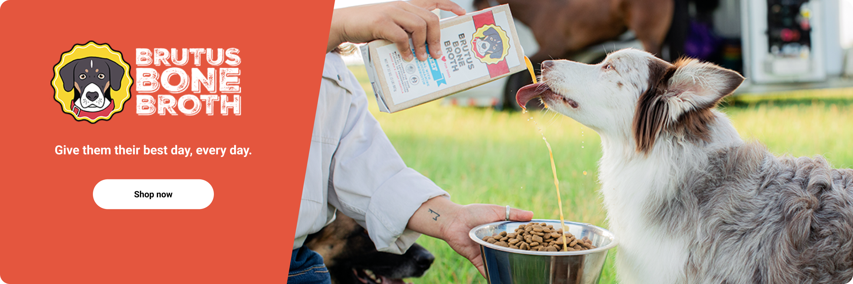 Brutus Bone Broth banner reading Give them their best day, every day, with a dog being served food and a Shop now button.