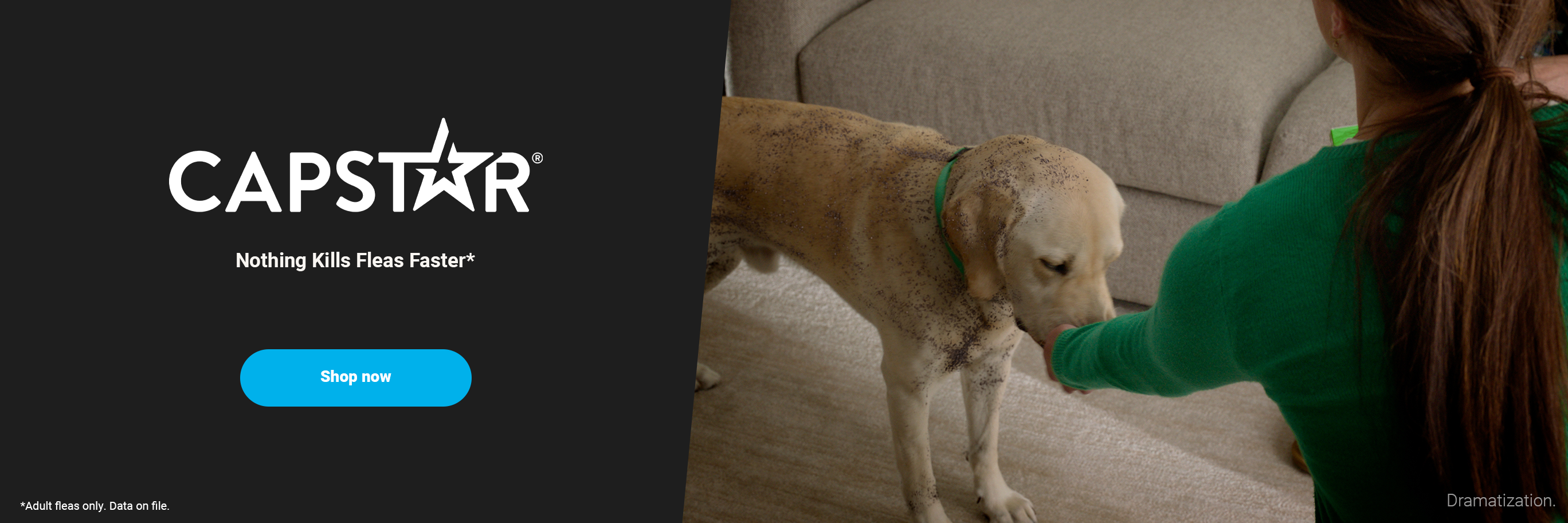 Capstar brand video banner showing a dog with text, Starts killing fleas in 30 minutes.