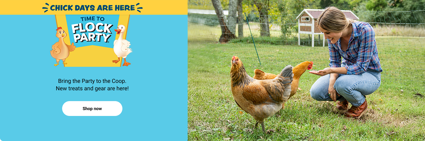 A woman feeding chickens and the text, new Flock Party treats and gear are here. Shop now.