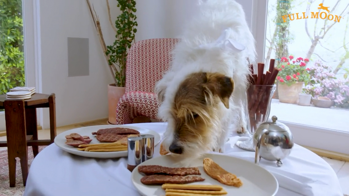 Watch a short promotional video for Full Moon brand dog food.