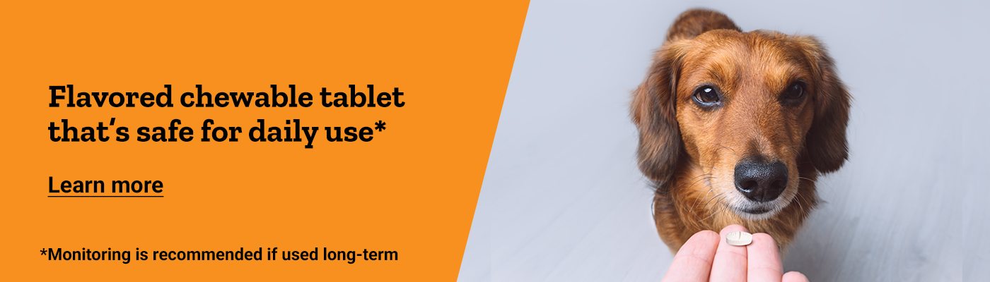 Galliprant banner reading, Flavored chewable tablet that’s safe for daily use. Learn more.