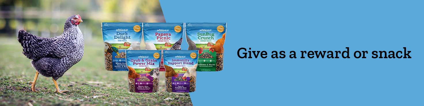 Give Impeckables treats as a reward or snack. Shop now