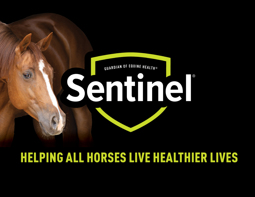 Sentinel