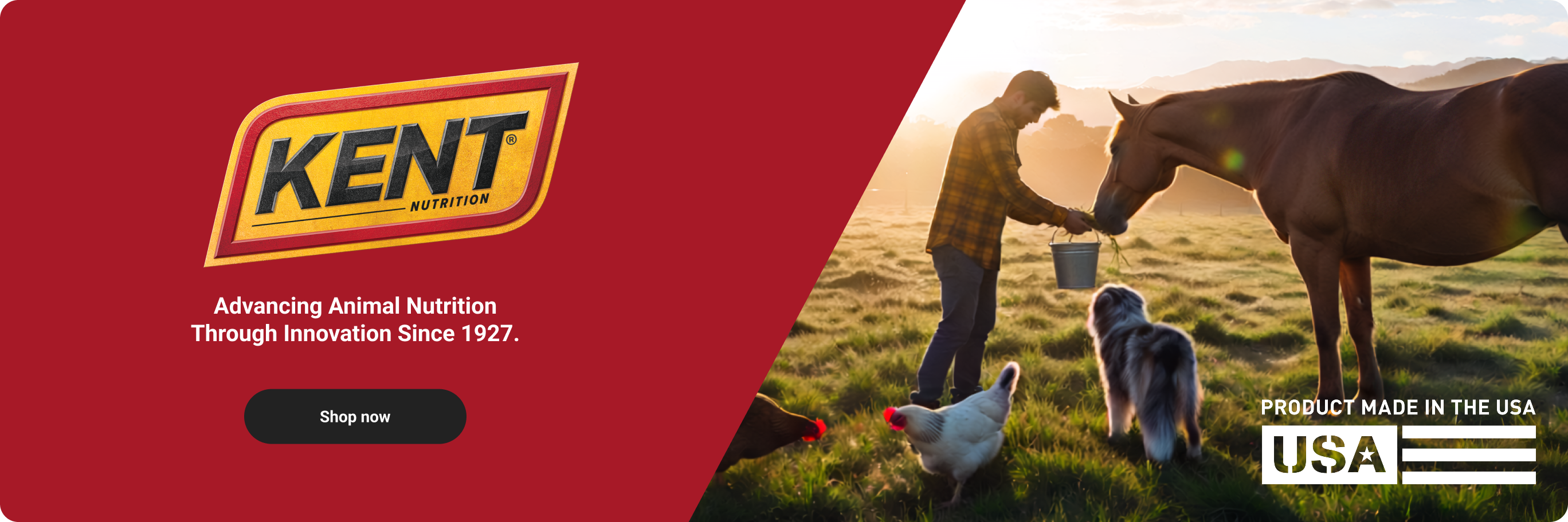 Shop quality animal nutrition you can trust from Kent