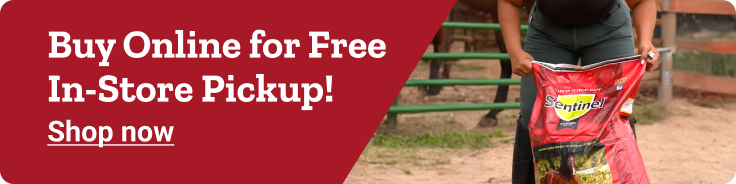 Image of a horse with text, get the feed that fits them. Shop now.