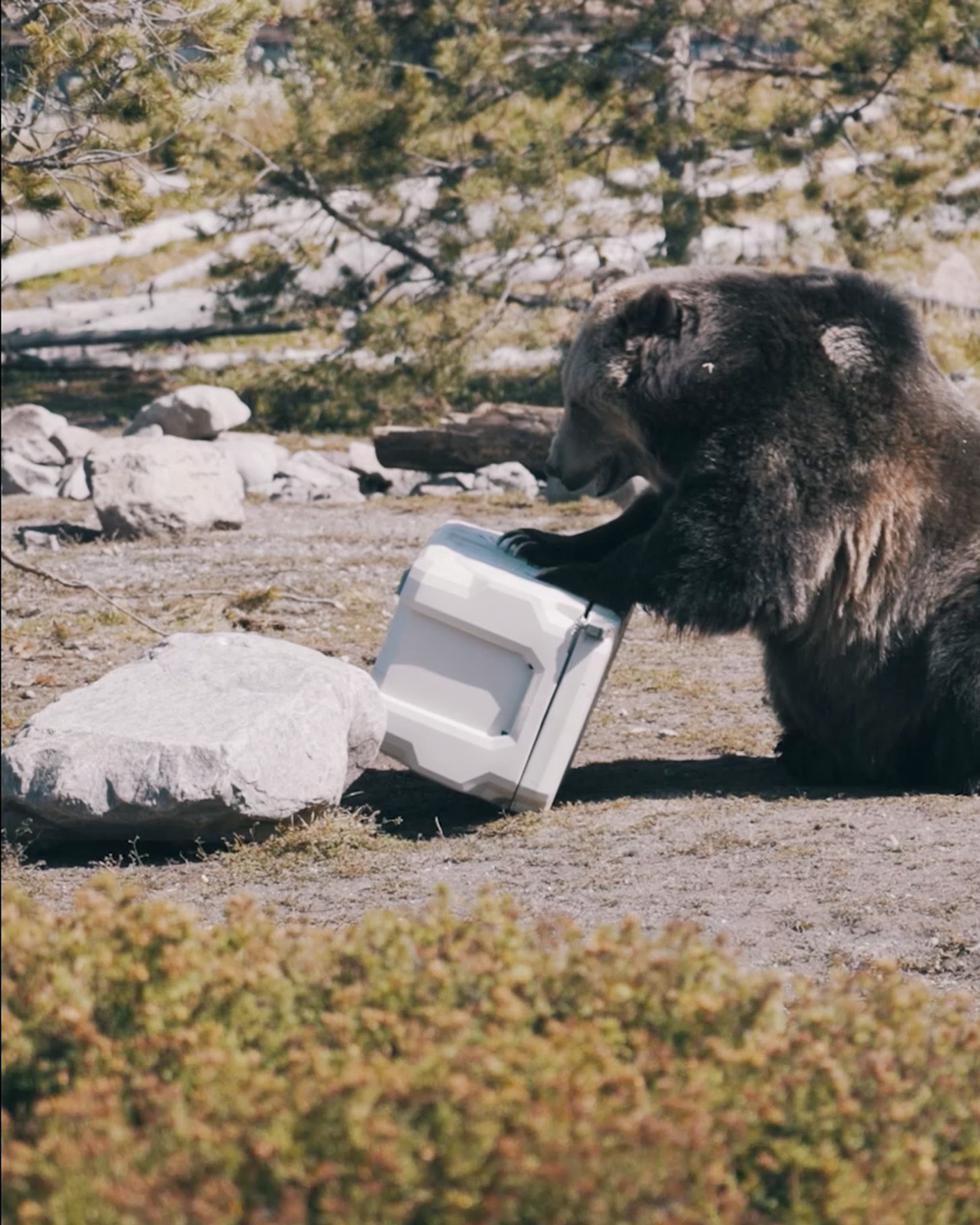 A video featuring Lifetime’s Kokanee Kayak