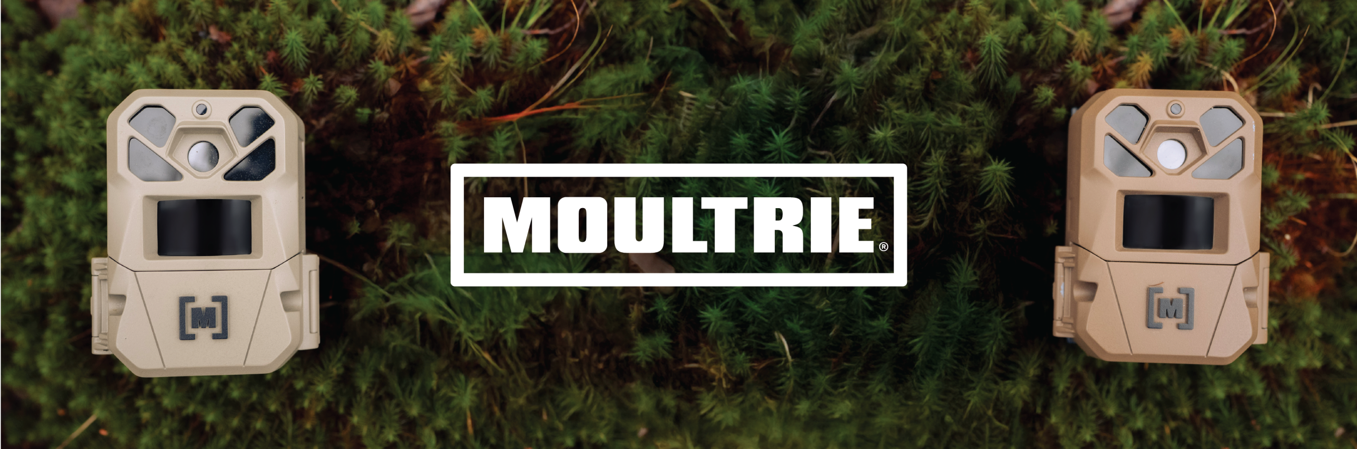 2 hunting cameras in a large bush with the Moultrie brand logo