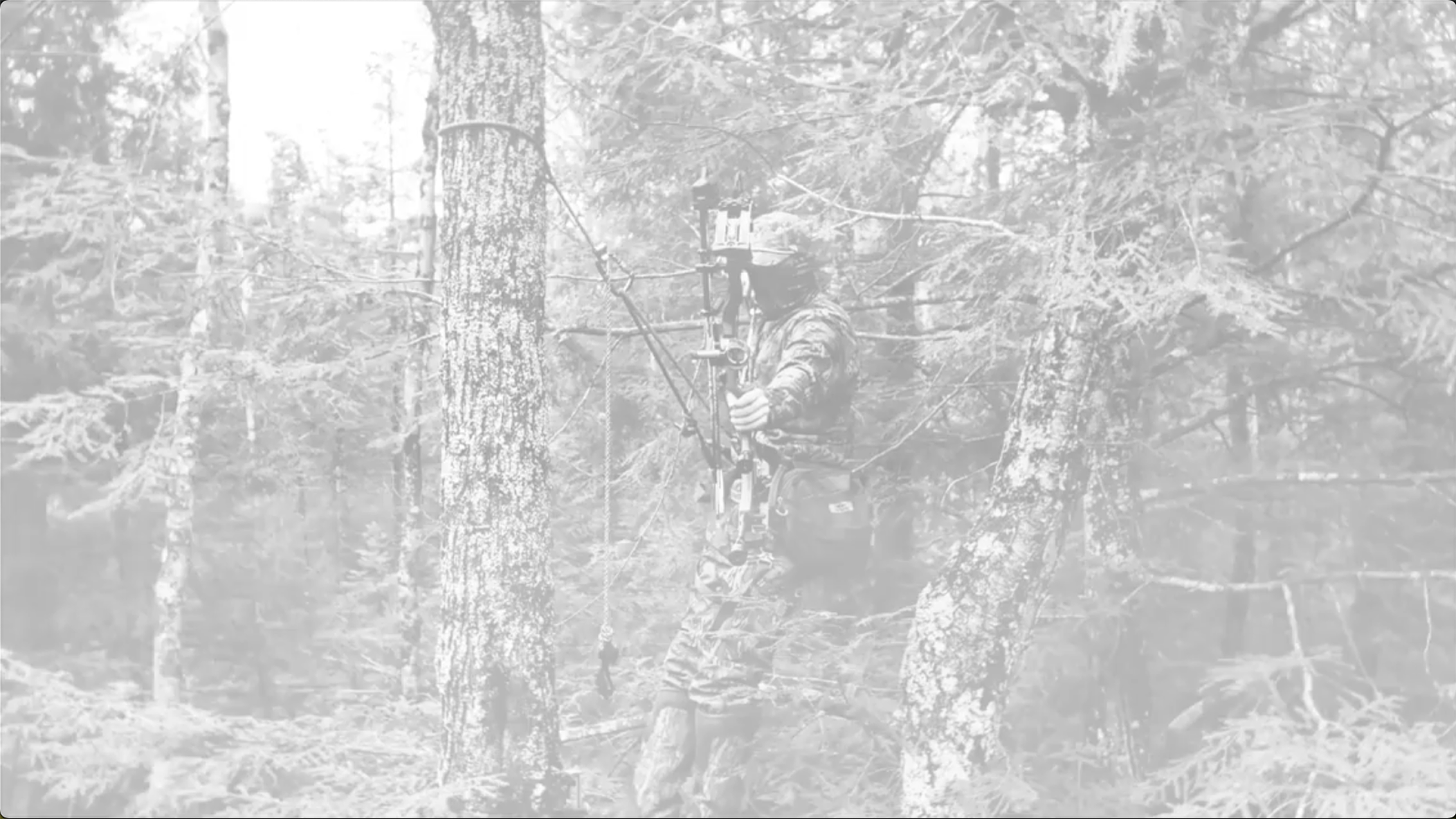 A 29 second video about Moultrie’s edge 3 hunting camera