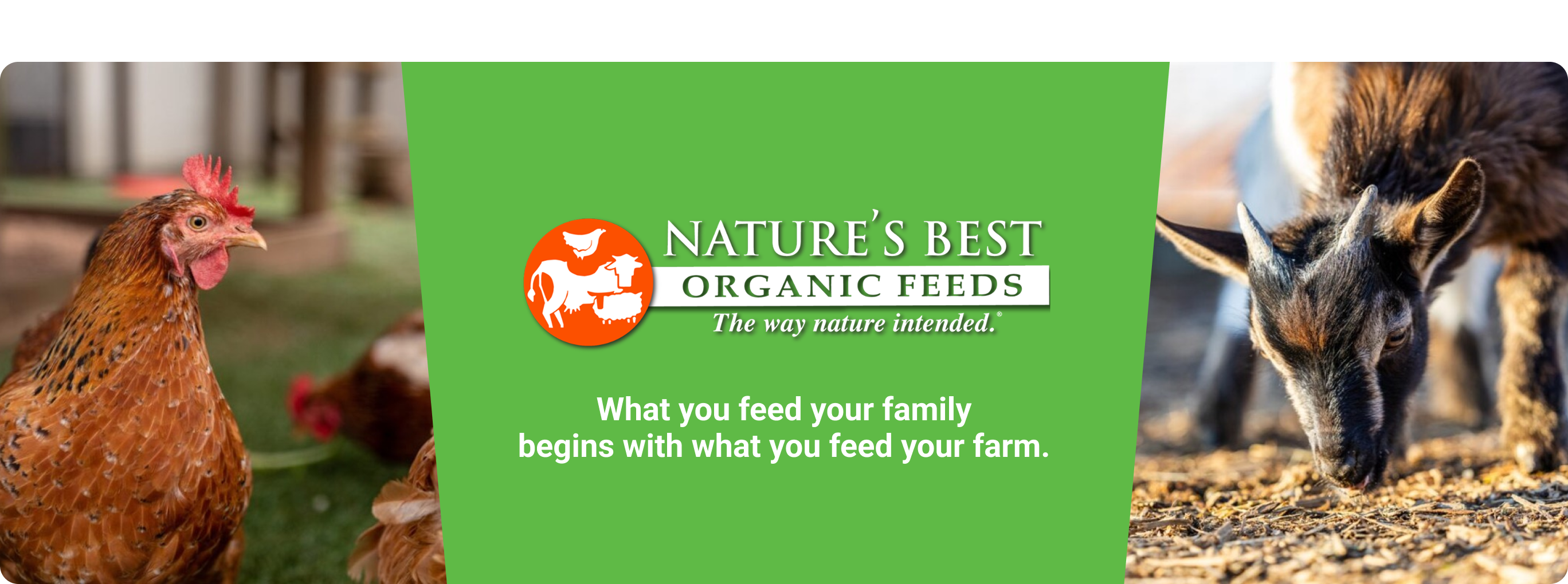 Chickens and goats outside with the text, Nature’s best. What you feed your family begins with what you feed your farm