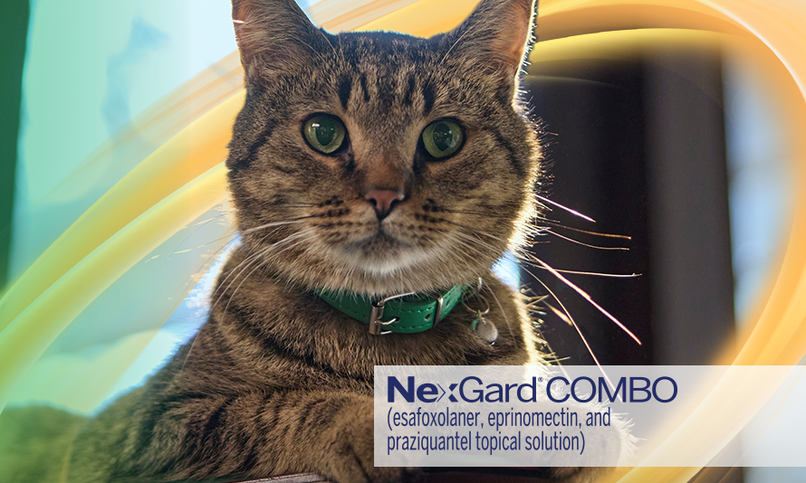 NexGard COMBO