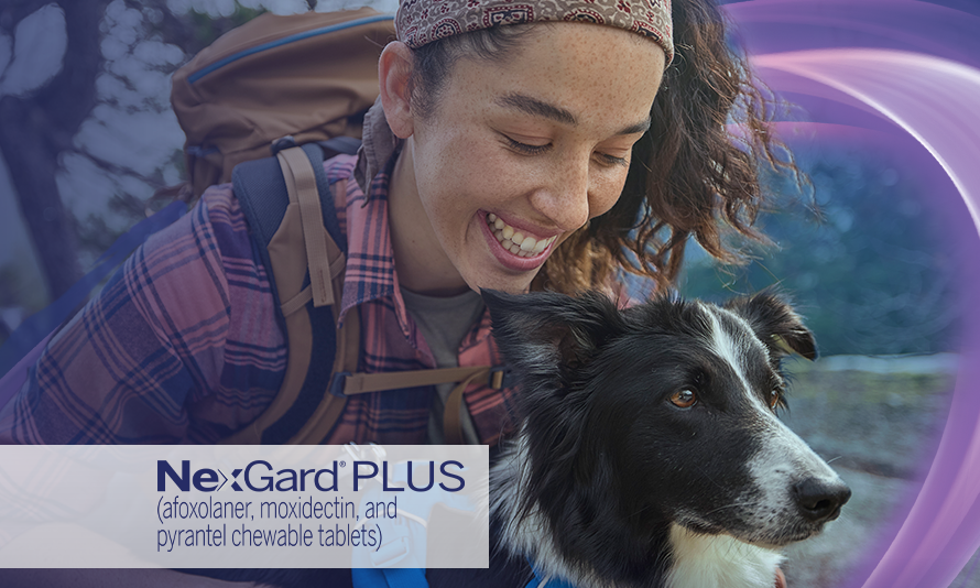 NexGard Plus