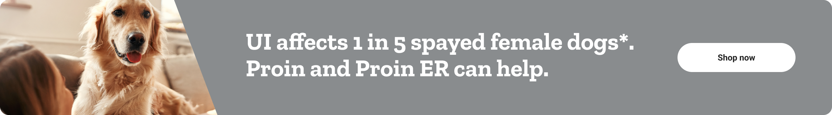 Save on Proin ER with daily dosing. Shop now.