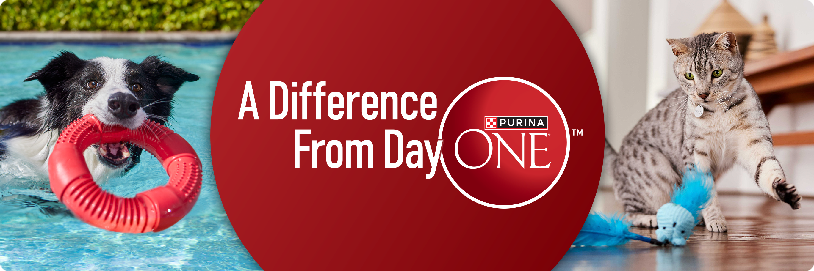 Purina ONE banner reading A Difference From Day ONE, featuring a dog and cat.