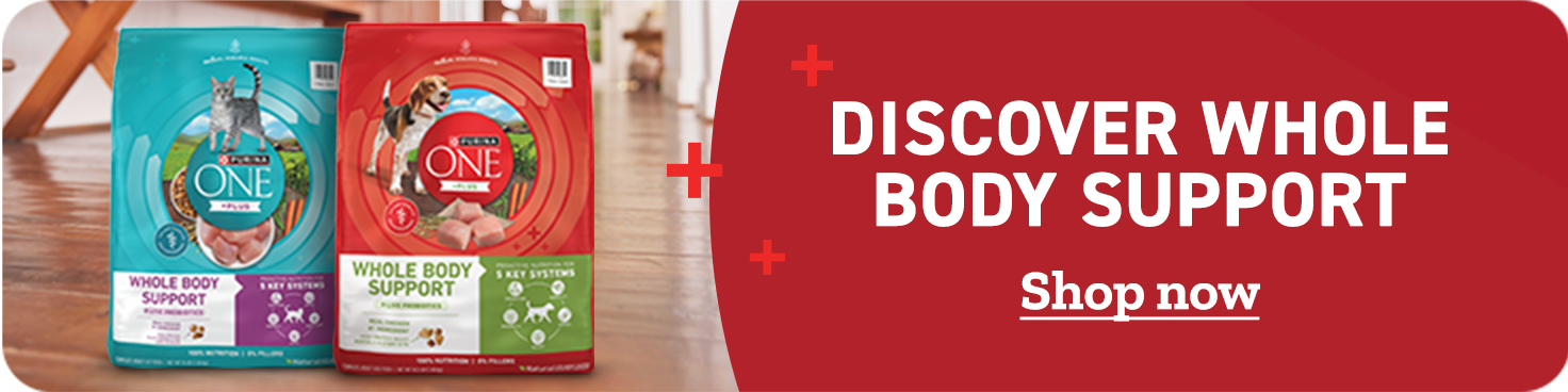 Banner reading Discover Whole Body Support, featuring Purina ONE dog and cat food. Shop now.