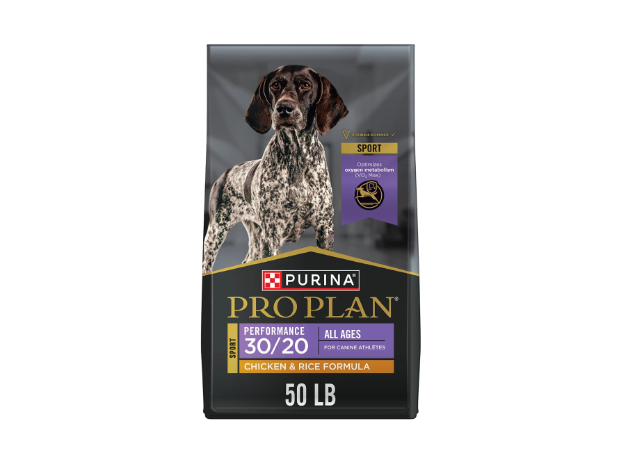 Dry Dog Food