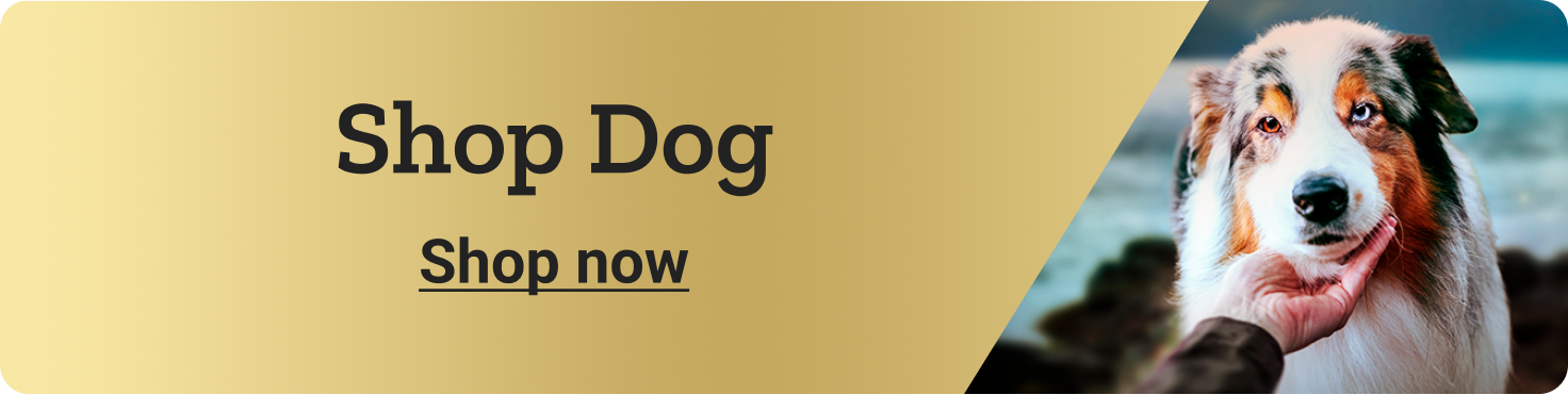 Shop Dog