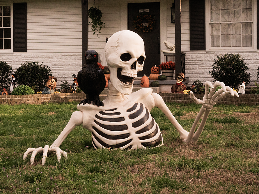 Halloween Decor