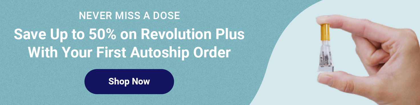 Banner reading Never Miss a Dose. Save Up to 50 Percent on Revolution Plus With Your First Autoship Order, with a Shop Now button.