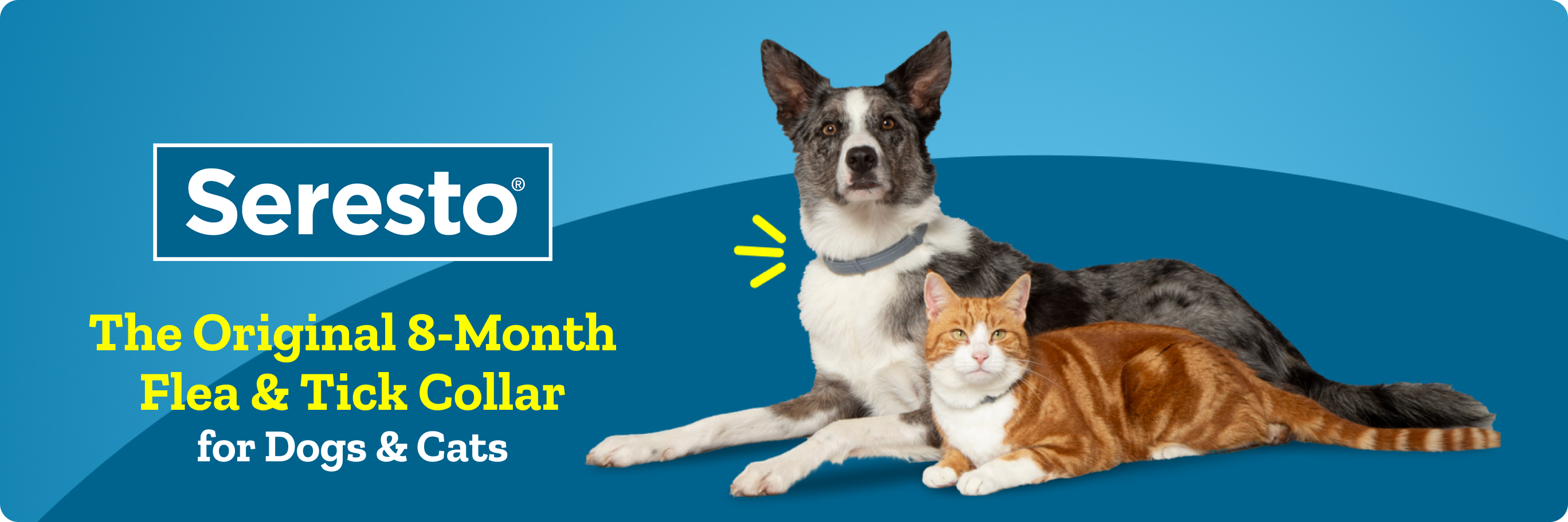 Number 1 vet recommended flea and tick collar. 