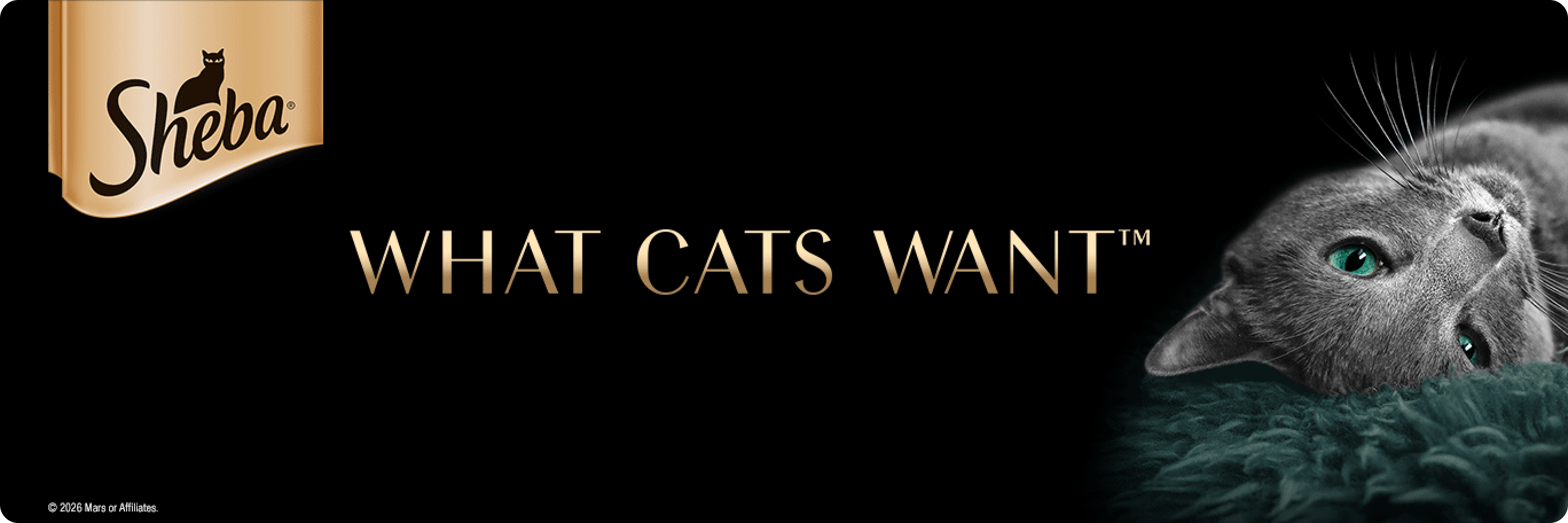 A gray cat on a black background, beside the Sheba wordmark and the words What Cats Want