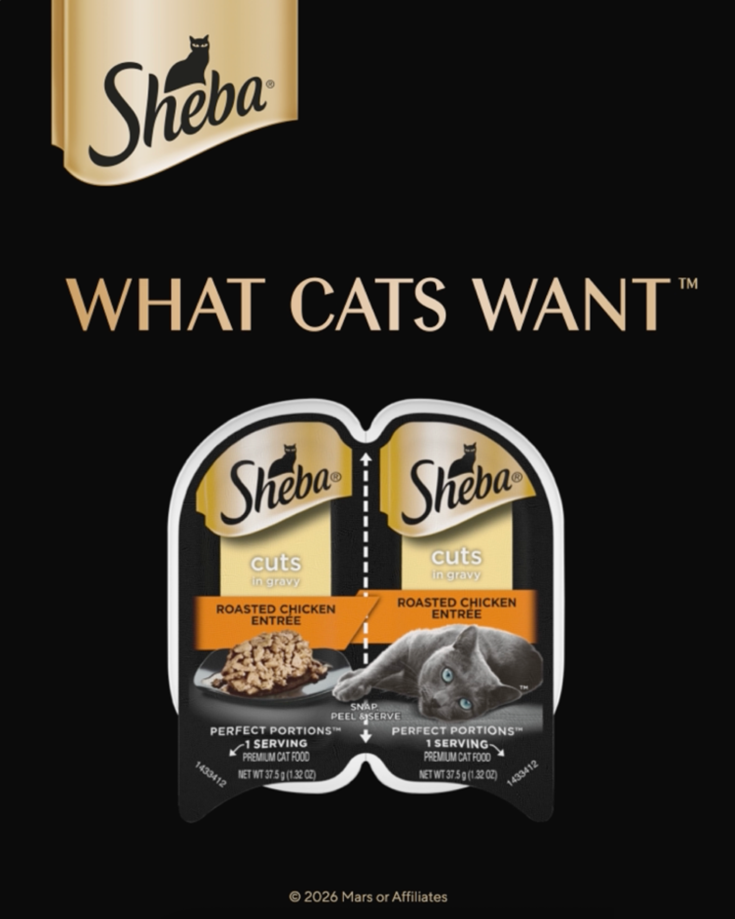 A short Sheba brand video