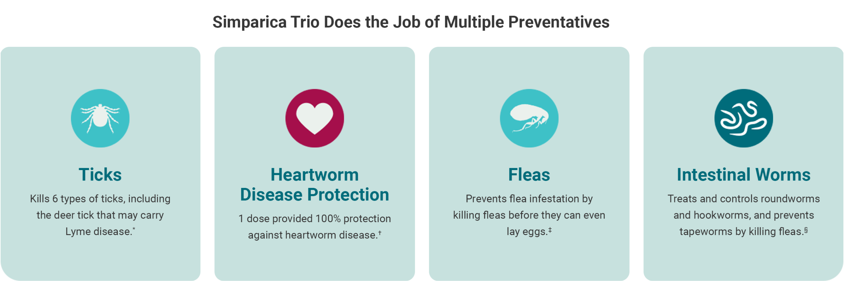 Simparica Trio banner with the copy. Don't Just Protect. Triple Protect. Showing a smiling man and a happy dog. 