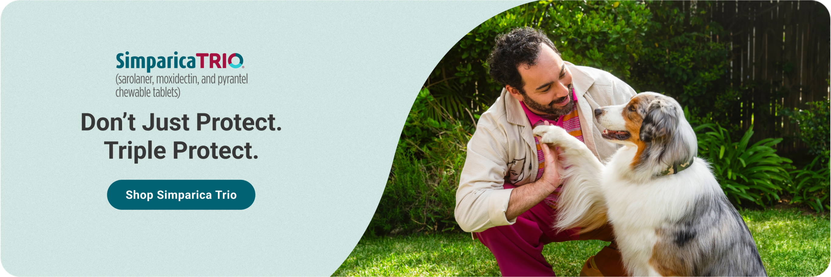 Simparica Trio banner with the copy. Don't Just Protect. Triple Protect. Showing a smiling man and a happy dog.