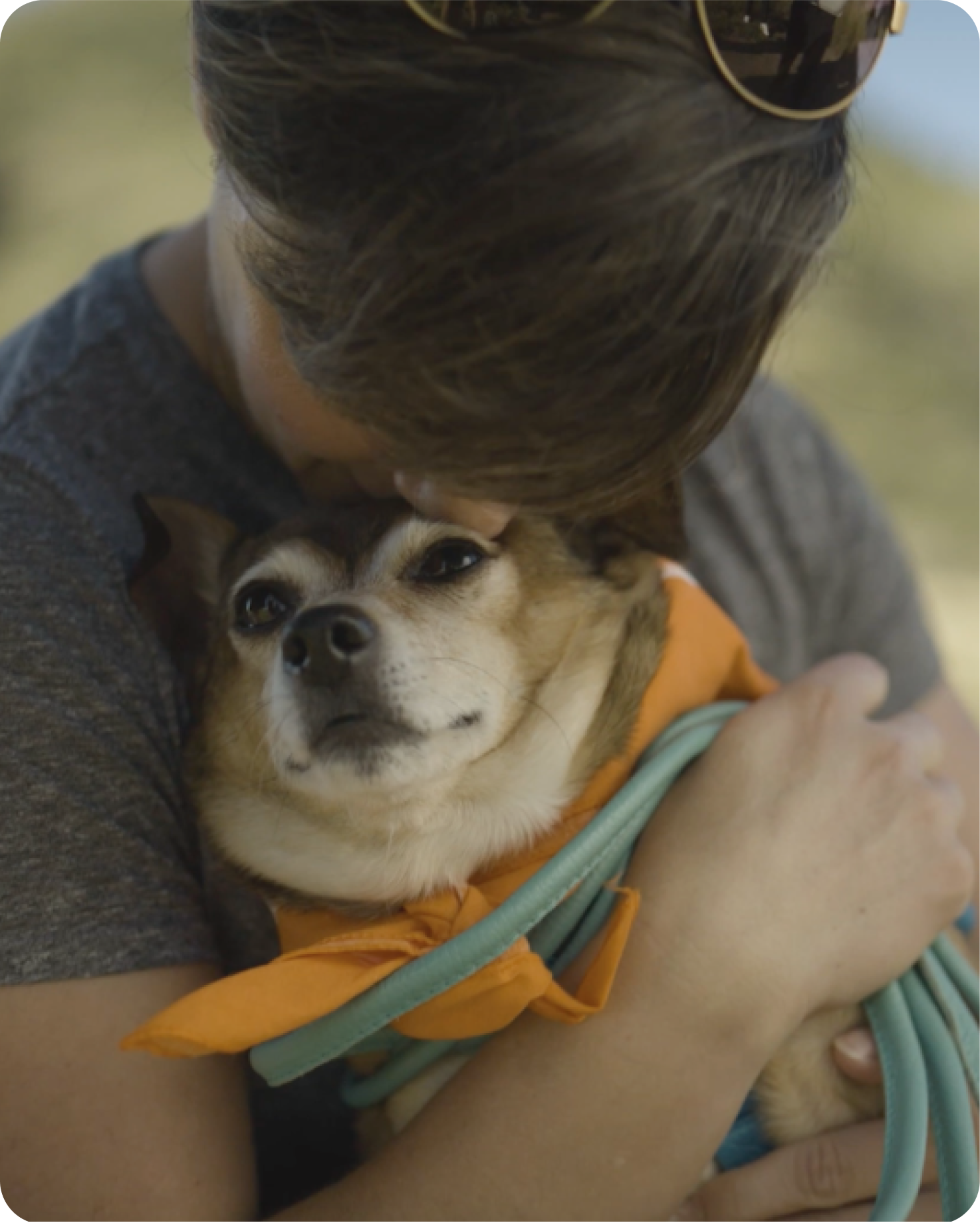 Brief Simparica Trio video and a play button on the far left. 