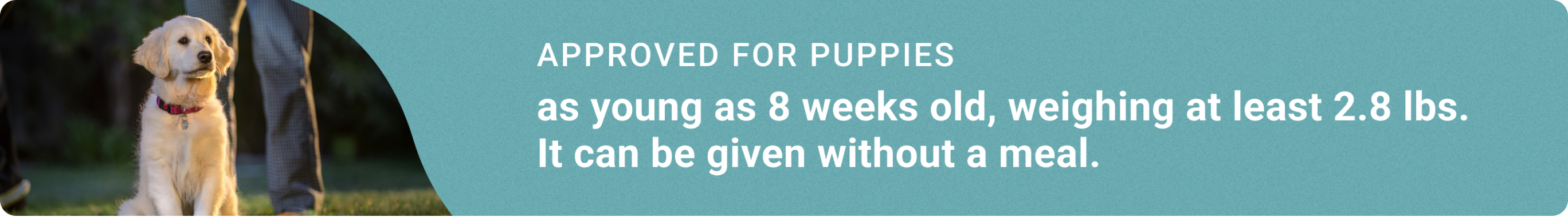 Promotional banner with text, Approved for puppies as young as 8 weeks old and weighing at least 2.8 pounds, featuring a puppy sitting outdoors.