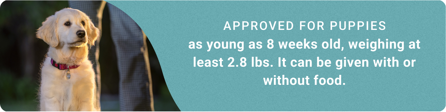 Promotional banner with text, Approved for puppies as young as 8 weeks old and weighing at least 2.8 pounds, featuring a puppy sitting outdoors.
