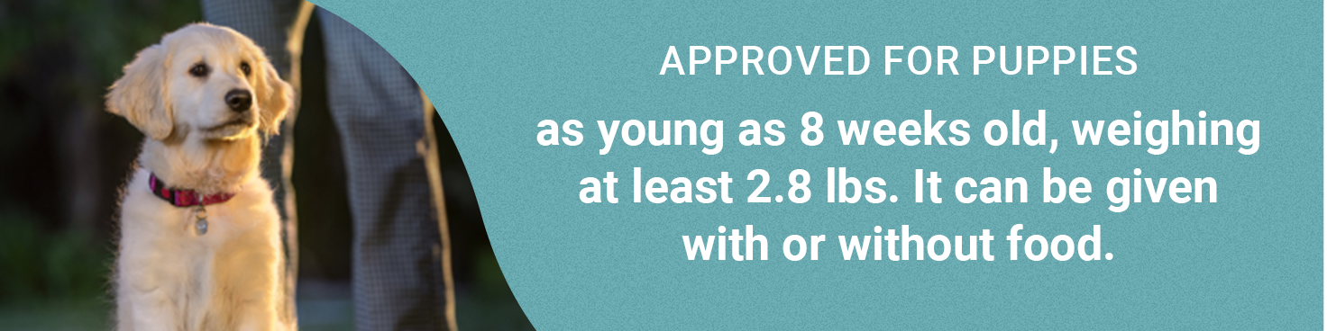 Promotional banner with text, Approved for puppies as young as 8 weeks old and weighing at least 2.8 pounds, featuring a puppy sitting outdoors.