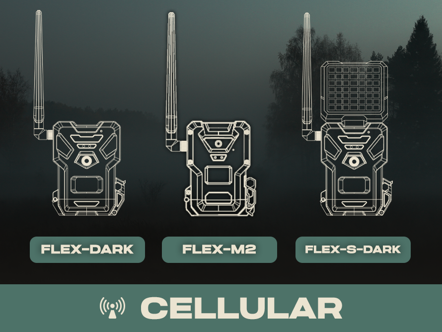Cell Game Cameras