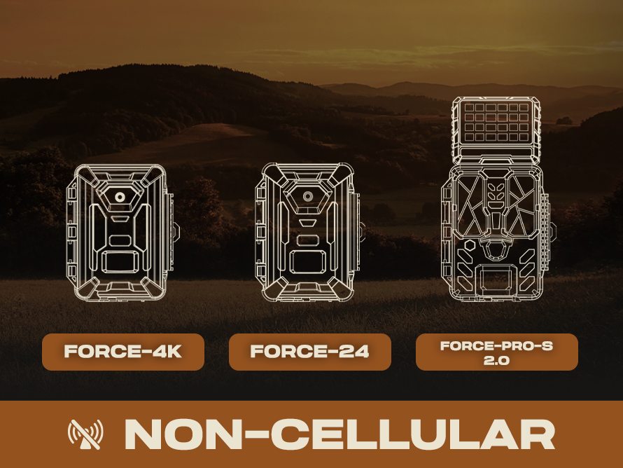 Non‑Cell Cameras